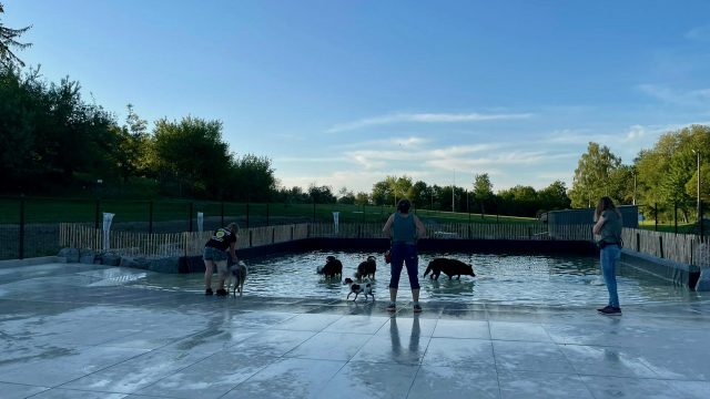 Der Hundeschwimmteich auf Kimbaland, Nutzungsordnung ab dem 03. Juli 2021